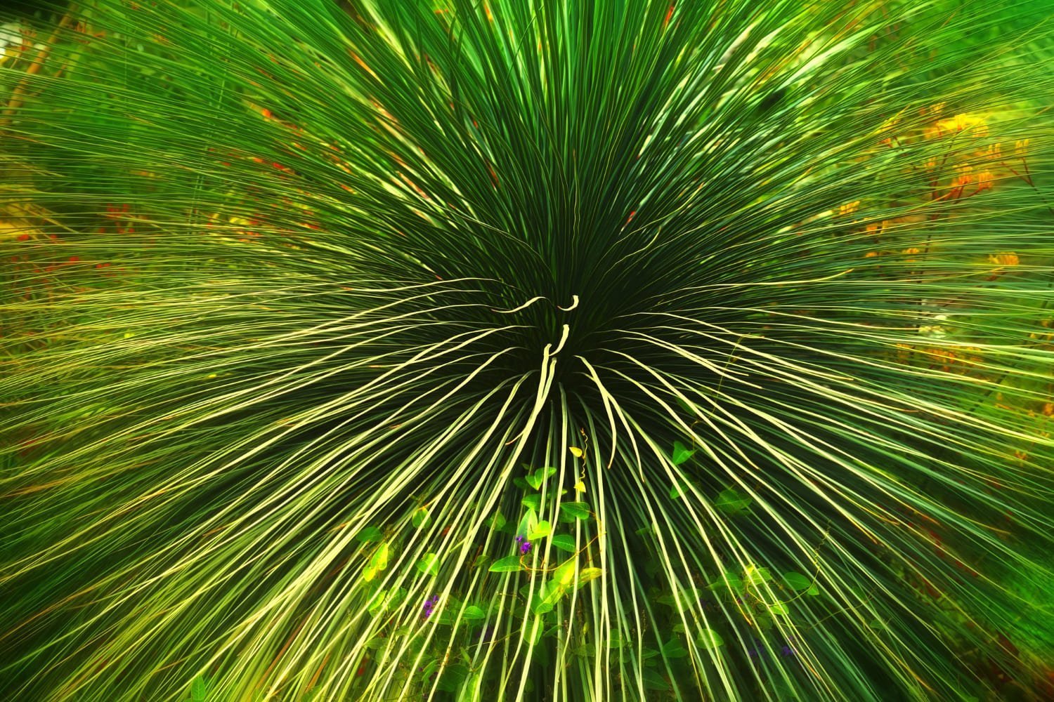 Ilustración de una estructura vegetal