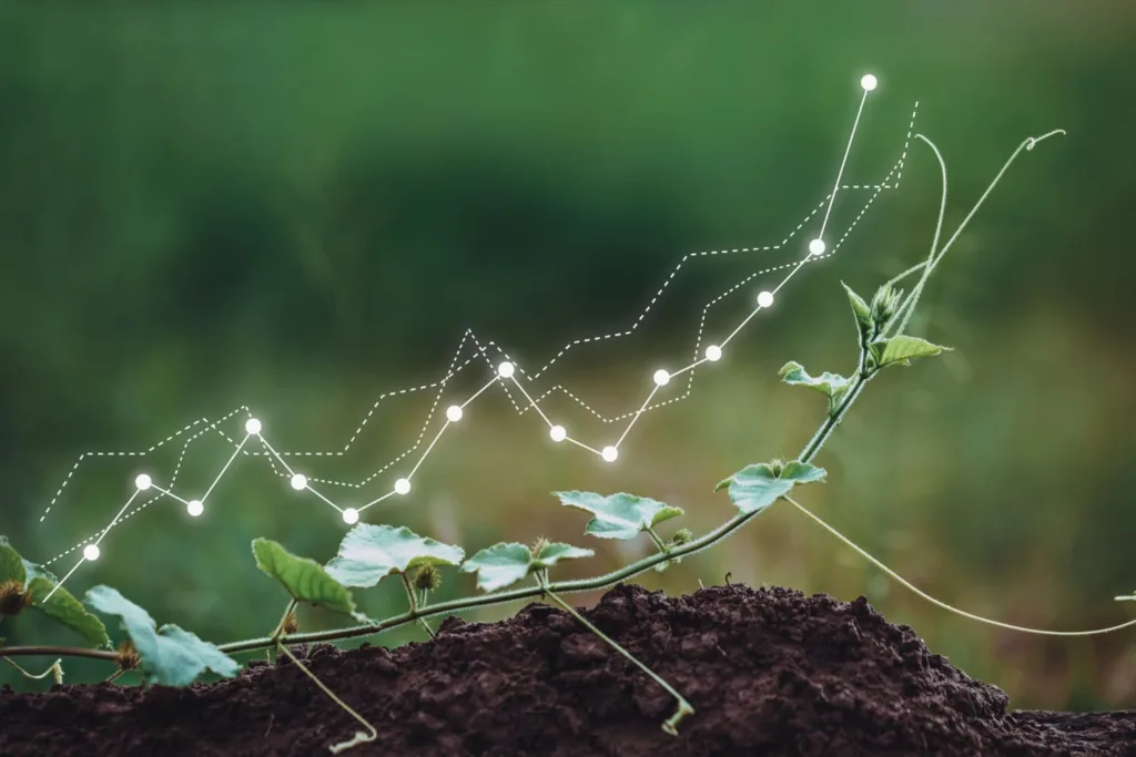 Ilustración de crecimiento vegetal y relaciones entre sus elementos